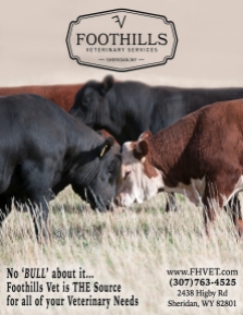 Foothills Vet Ad